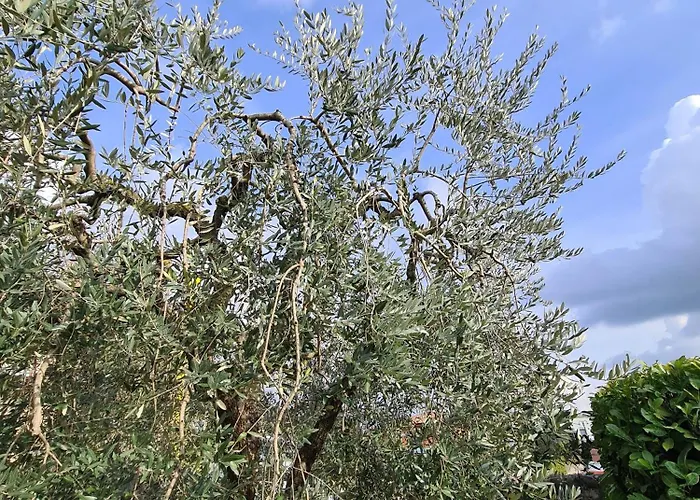 Casa Seré - Piccolo Nido Tra E Montagna