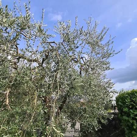 Casa Sere - Piccolo Nido Tra E Montagna